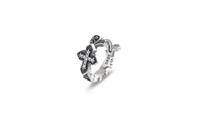 ROGA ins 925