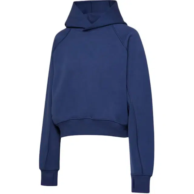 ARITZIA FW25 Golden FormaFleece Speed Hoodie