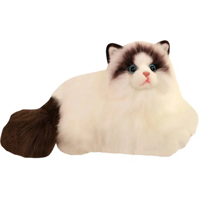 50cm