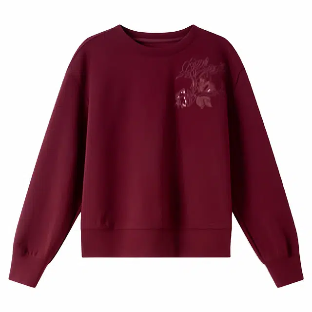 潞优野 高街复古通用珠片绣花针织肌理感圆领长袖上衣设计感百搭秋季卫衣 女款