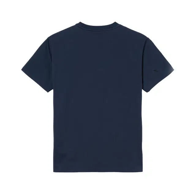 AIGLE T