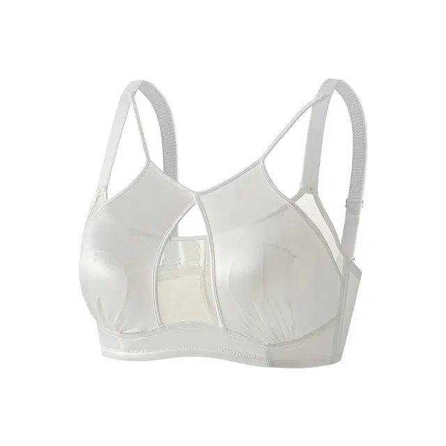 二三二三 轻奢性感镂空网纱纯欲豹纹内衣亲肤舒适透气不闷汗氛围感胸罩柔软清凉聚拢防下垂美背潮流时尚百搭日常无钢圈文胸 女款