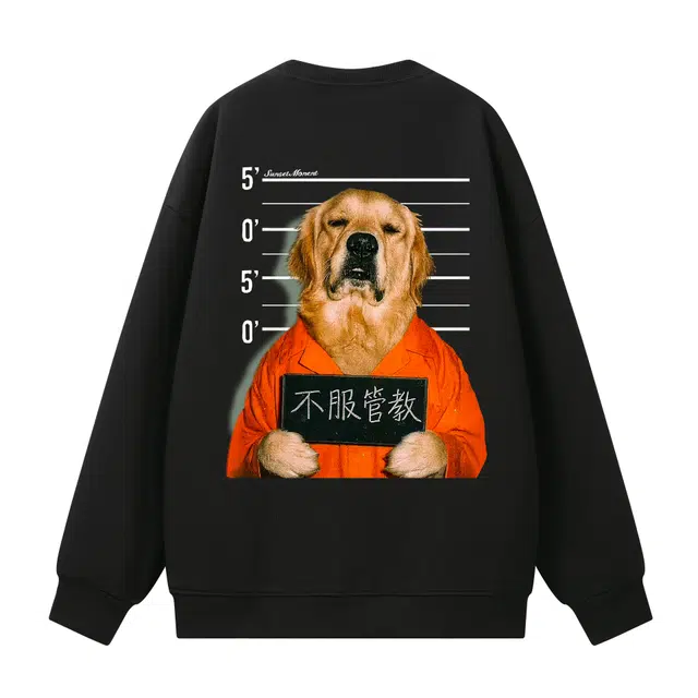 SUNSETMONENT 360logo