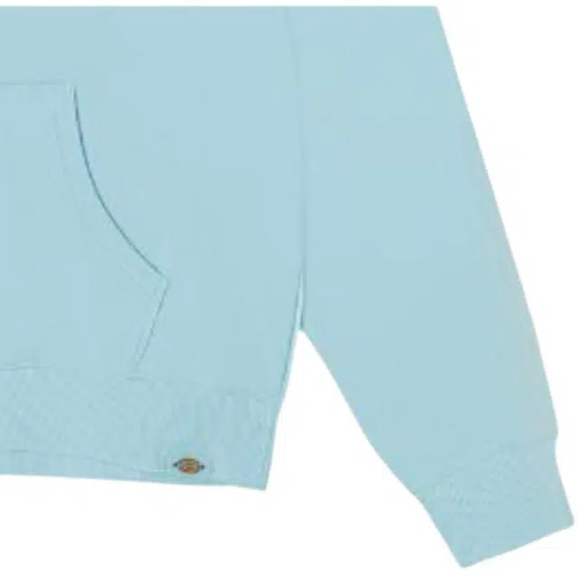 Dickies Hoodie Ice Blue