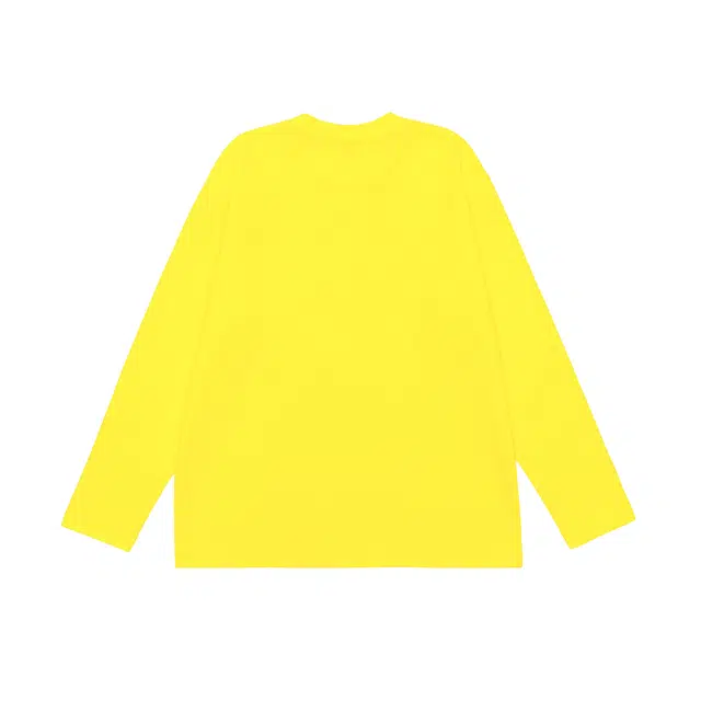 PAI SOLE logo