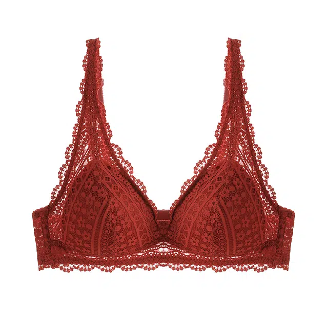 内在密码 本命年内衣女蕾丝性感小胸三角杯无钢圈上托防垂结婚新娘文胸 女款