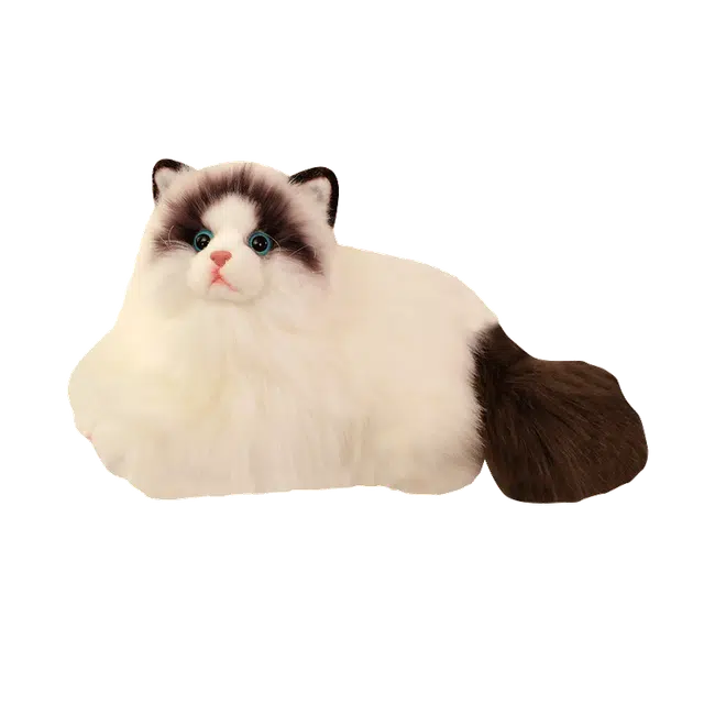 50cm