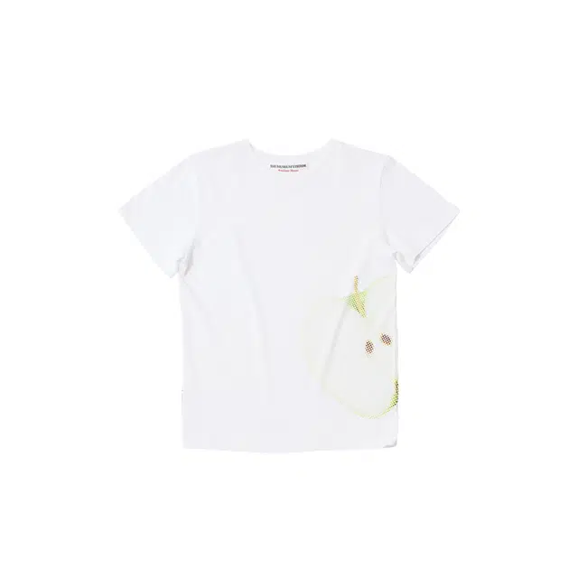 THE MUSEUM VISITOR T