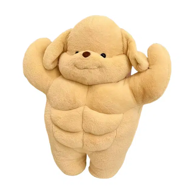 CANEXT 35cm50cm65cm