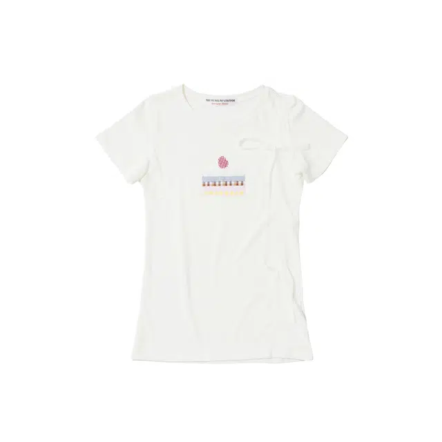 THE MUSEUM VISITOR T