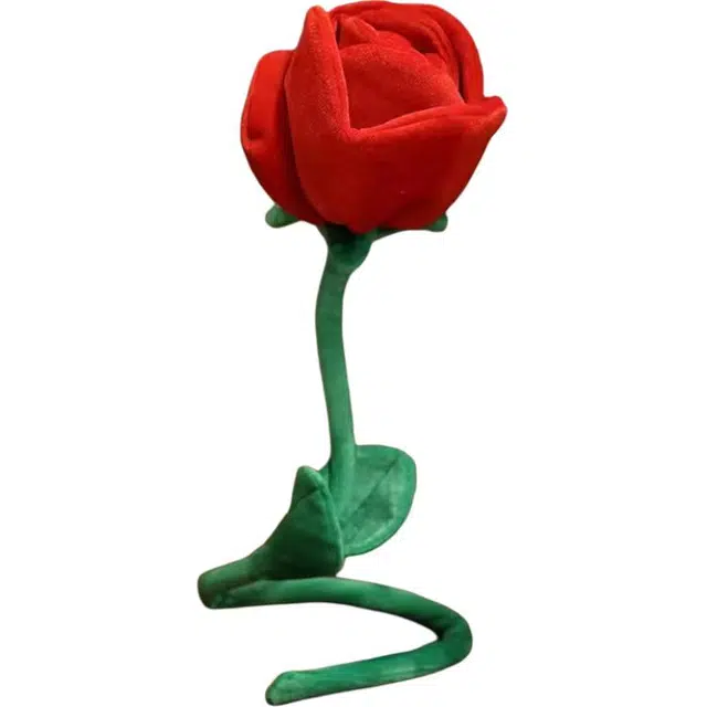 85cm