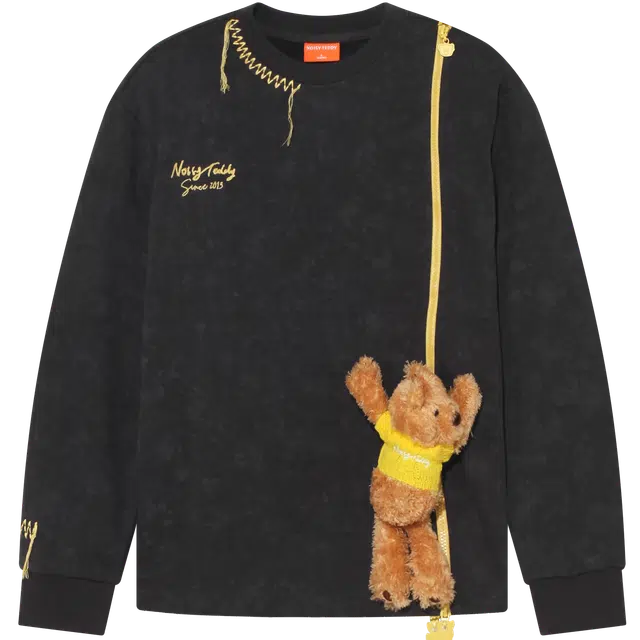 NOISY TEDDY