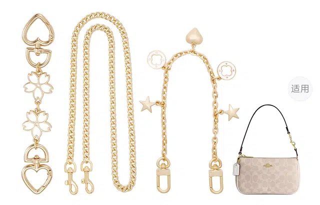 COACH Nolita 19