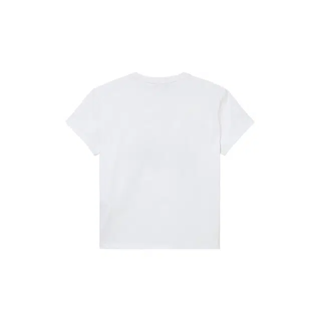 AIGLE T