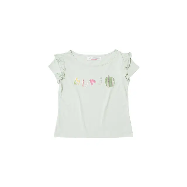 THE MUSEUM VISITOR T