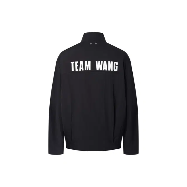 TEAM WANG design