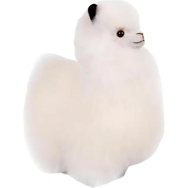 BBFAT ALPACA