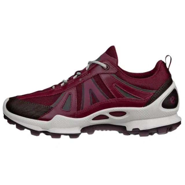 ecco Biom C Trail