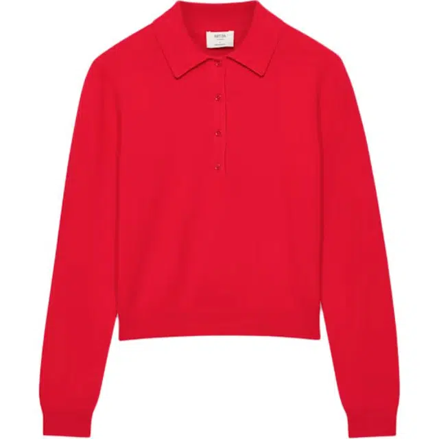 ARITZIA FW25 Bare Cashmere Polo Longsleeve