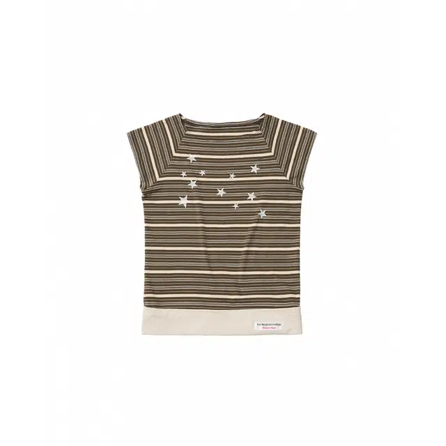 THE MUSEUM VISITOR T