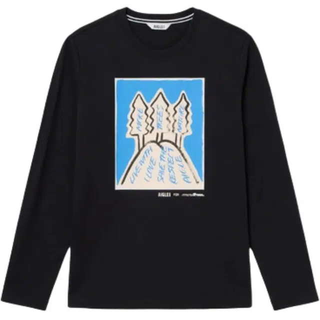 AIGLE T