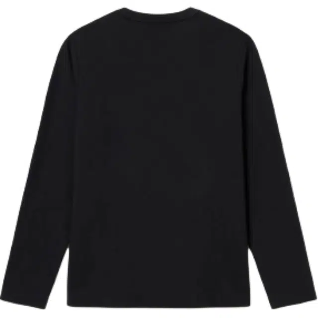 AIGLE T