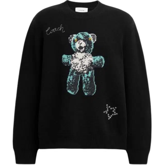 COACH FW25