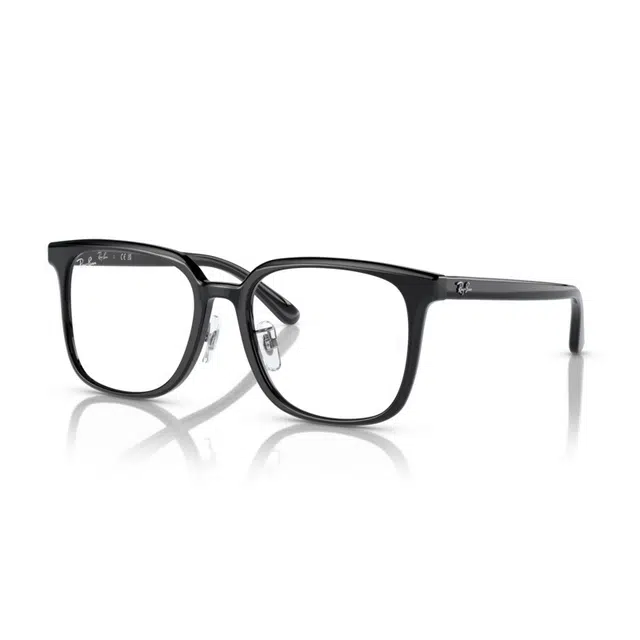 RayBan