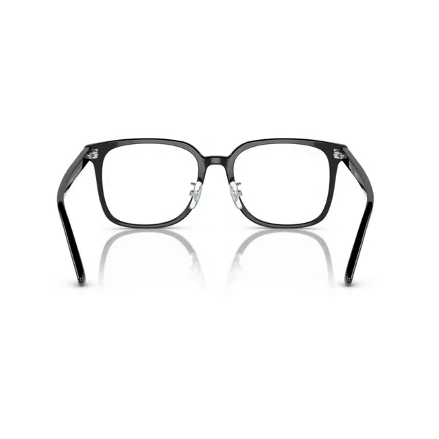 RayBan