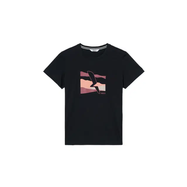 AIGLE T