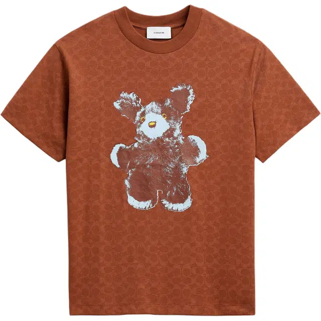 COACH FW25 T