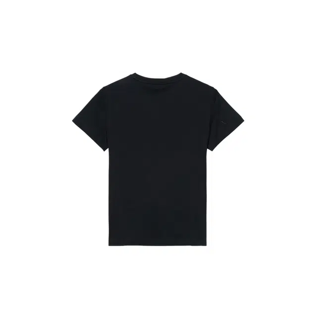 AIGLE T