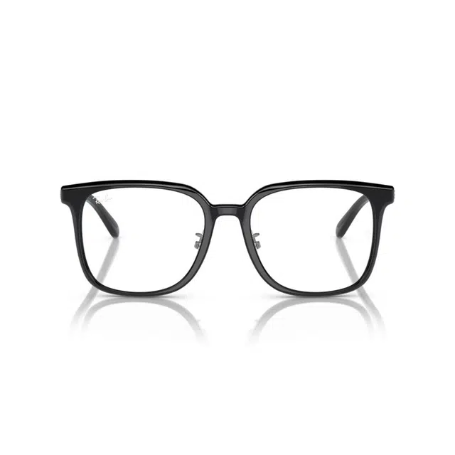 RayBan