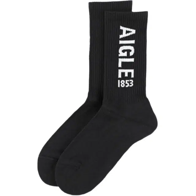 AIGLE 1