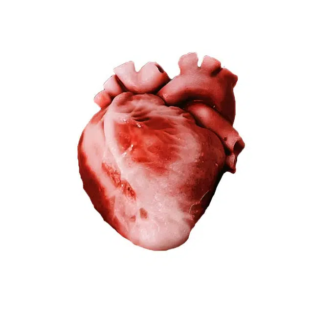 馨枕居 整蛊 解压 【仿真心脏】搞怪惊讶玩具 捏捏乐