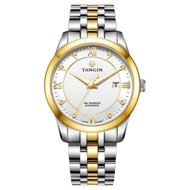 TANGIN 18K 41mm T3025GYWJB