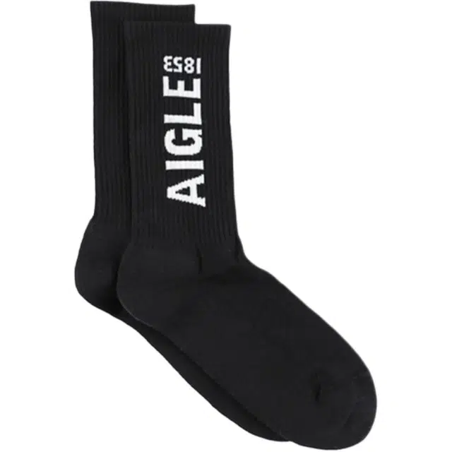 AIGLE 1