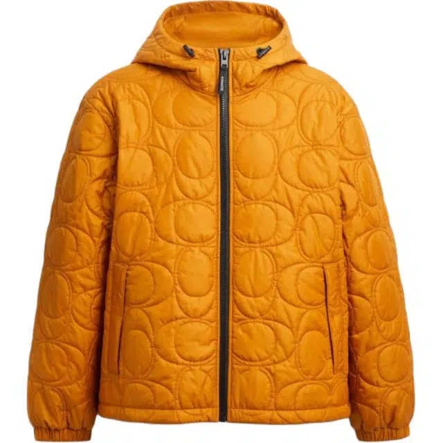 COACH FW25