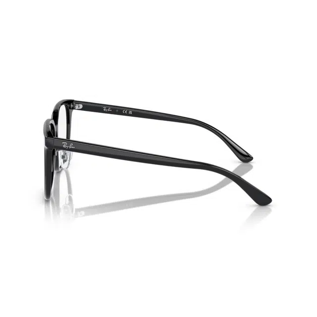 RayBan