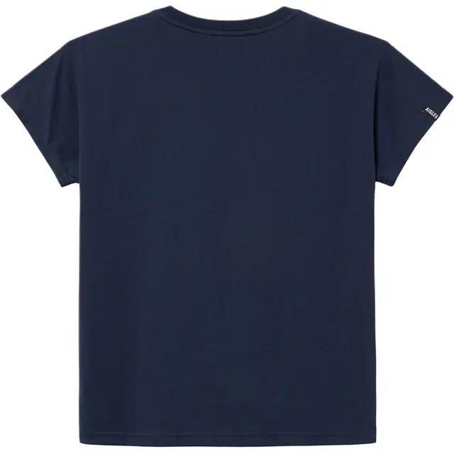 AIGLE T
