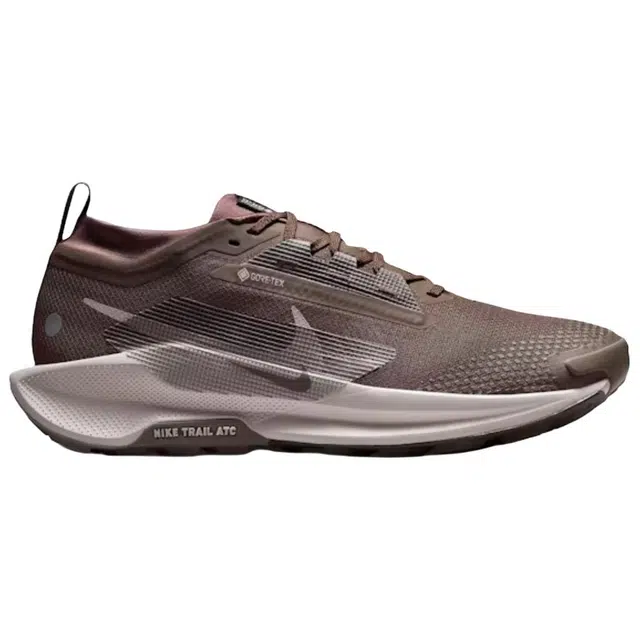 Nike Pegasus Trail 5