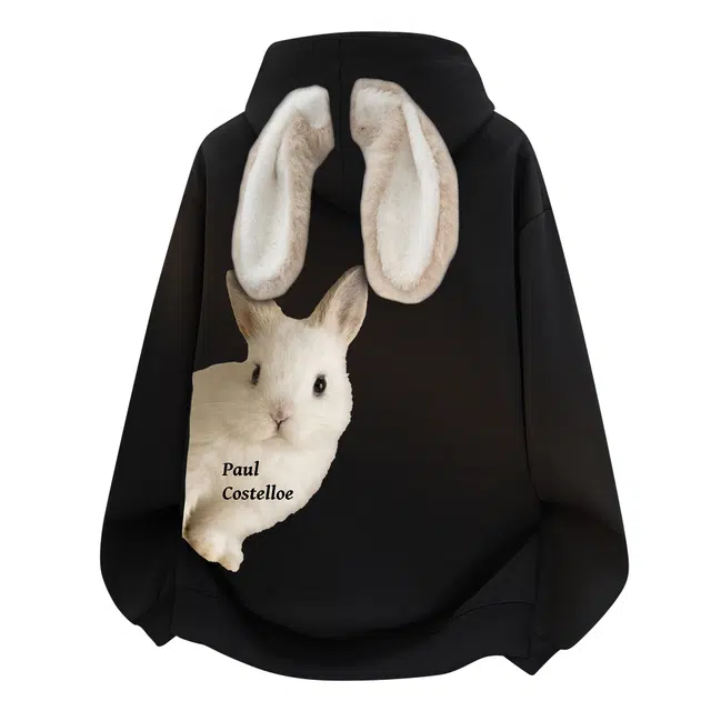 PAUL COSTELLOE Paullogo