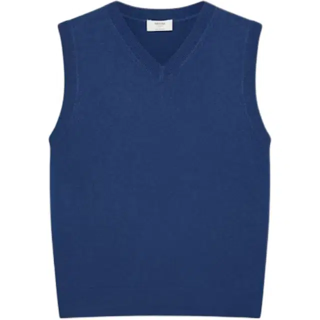 ARITZIA FW25 Bare Cashmere V-neck Sweater Vest V