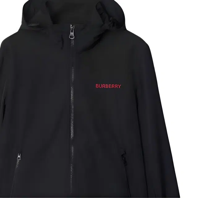 Burberry Logo