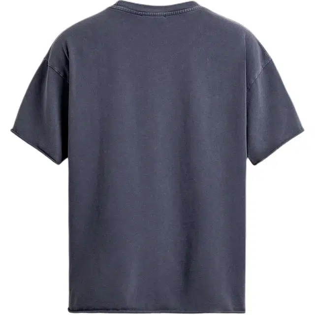 ZARA T