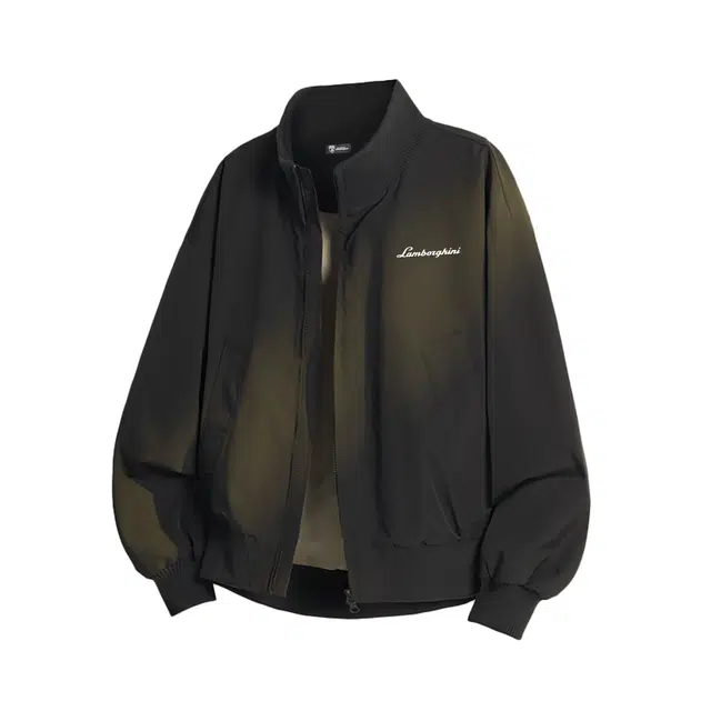 Automobili Lamborghini logo