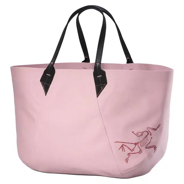 Arcteryx Carrier 45L