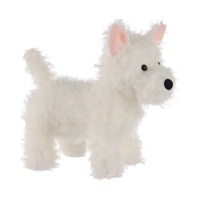 APRICOT LAMB 24cm
