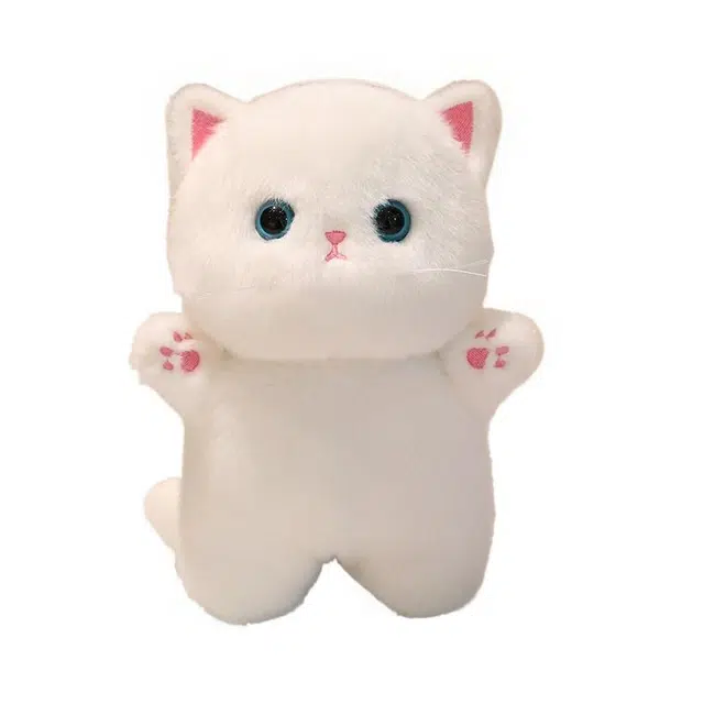 JBBCN 20cm