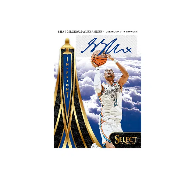 PANINI 2024-25 Basketball NBA Select hobby